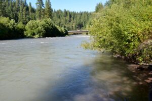 Looking Down River