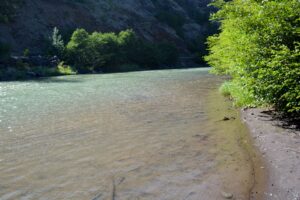 View Up River