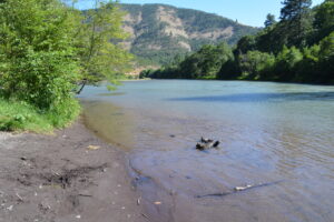 View Down River