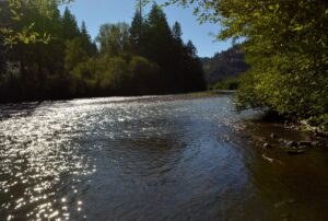 View Down River