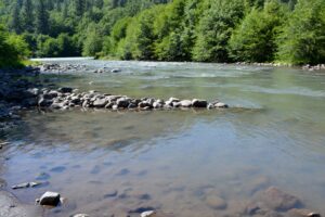 View Down River