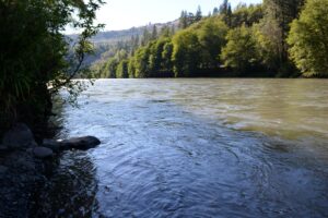 View Down River