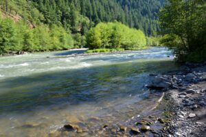 View Up River