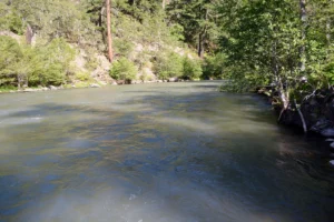 One Lane View Down River