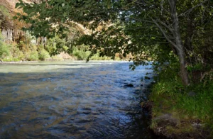 Summit Creek View Down River