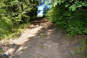 View Up From River