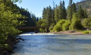 One Lane Bridge